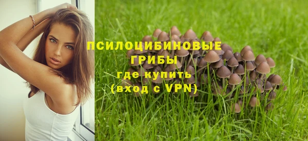 Альфа ПВП Алзамай